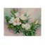 « magnolia florals », reproduction de peinture à l’acrylique sur toile tendue-31875956