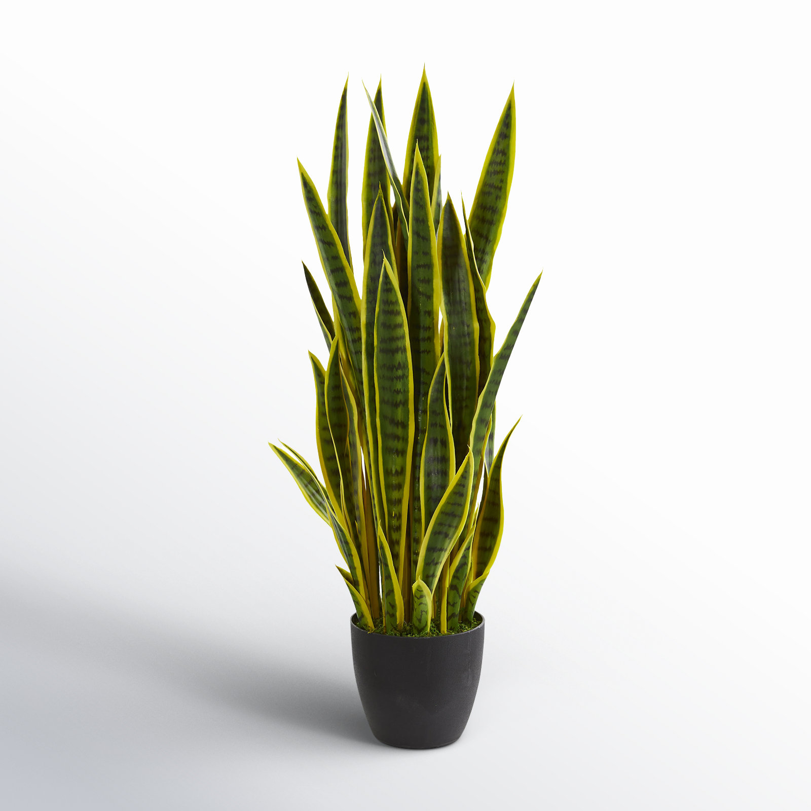 AllModern 38" Artificial Snake Plant in Planter & Reviews | AllModern