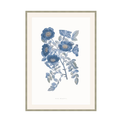 Bouquet Blue 5 Print by Studio L57 Nouvelle