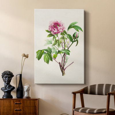 Pretty Pink Botanicals V - galerie sur mesure