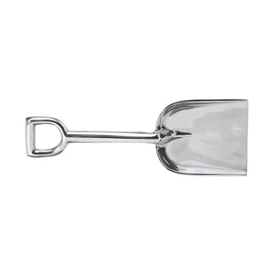 Seaside Serving Spoon