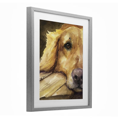 Sight of Golden Retriever Framed Print Under Glass, design by George Dyachenko