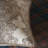 Aiden Modern & Contemporary Cotton Blend Plaid Duvet Cover-14930511
