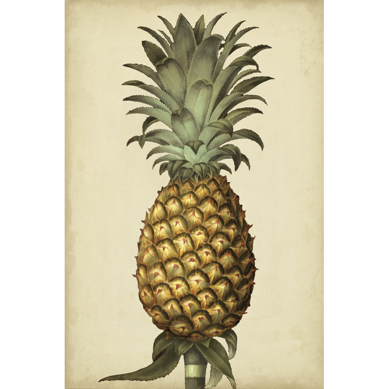 «Brookshaw Antique Pineapple I», peinture sur toile, H 12 po x l 8 po