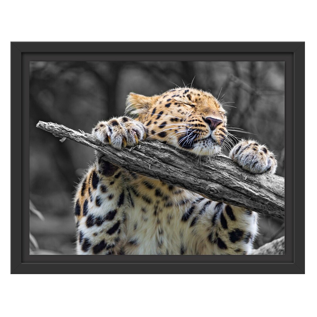 Gerahmtes Wandbild verspielter kleiner Leopard