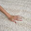 Tapis d'intérieur moderne ivoire Ebern Ebern Designs-2049374012