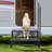 2 - Step Steel Small Step Ladder