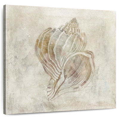 Aletra Seashell Illusion III