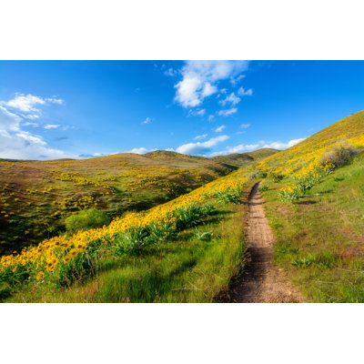 Fuchs Wildflowers In The Foothills - Wrapped Canvas Print