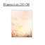 Art mural 24 "x 36" Sunrise Wildflower
