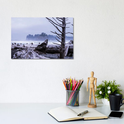 Skeleton Tree by Heather Roberson - Wrapped Canvas Print
