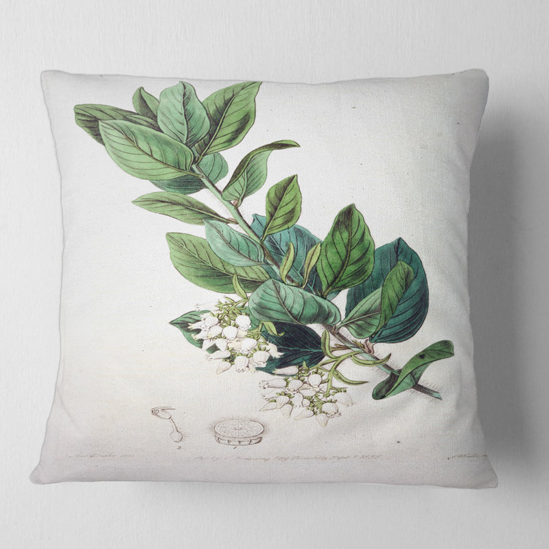 Housse et insert d'oreiller carré Botanicals XX, 16" x 16"