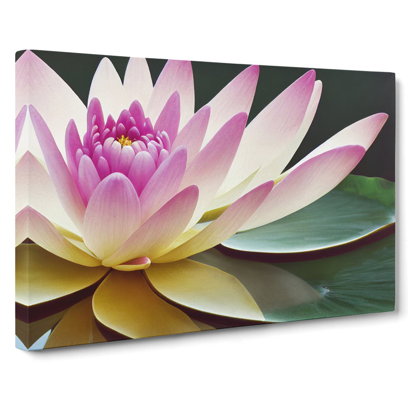 Innovative Water Lily Flower - Wrapped Canvas, 35cm H x 50cm W x 3cm D
