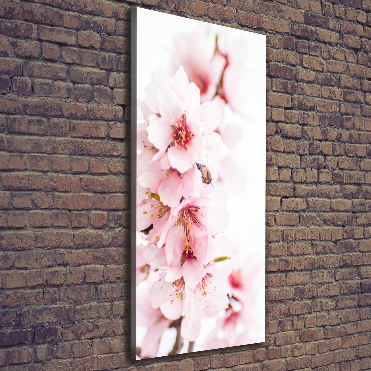 Ebern Designs Almond Flowers - Wrapped Canvas Art Prints | Wayfair.co.uk