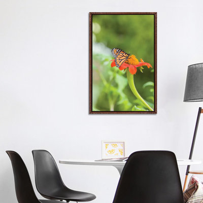 Hippos by Cosmo - Wrapped Canvas Gallery-Wrapped Canvas Giclée