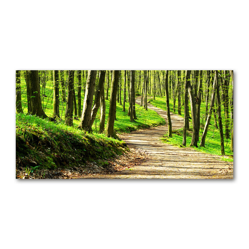 Path In The Forest - Wrapped Canvas Print, Wrapped Canvas, 60cm H x 120cm W