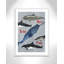 «Born to be free», impression sur papier-47841717-47841732