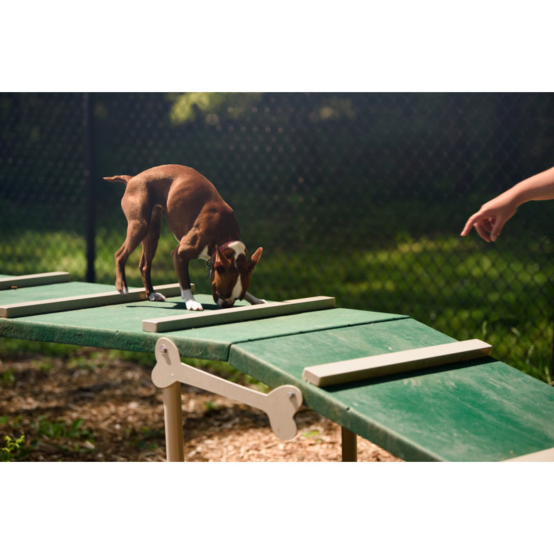 Promenade pour chien Pollitt