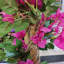 Annariitta Faux Tree-1240772552