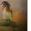 «Bluebird in the Perfect Light» de Vidur, impression sur toile tendue-22068248