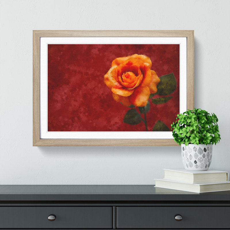 Orange Rose in Bloom - Picture Frame Graphic Art Print, Oak Framed, 33cm H x 45cm W x 2cm D