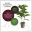 Faux Fiddle Leaf Fig Plant in Pot