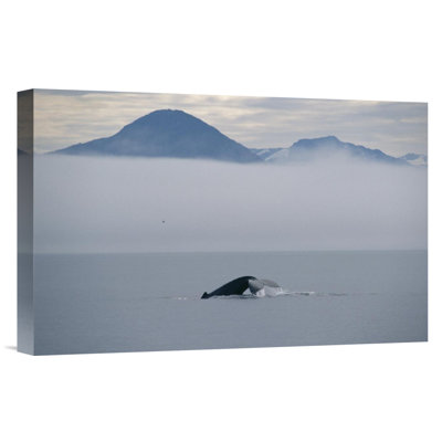 " Humpback Whale Tail, Southeast Alaska "