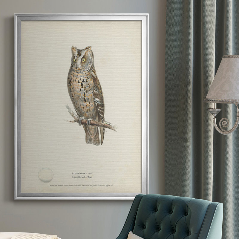Scops - Toile encadrée de qualité supérieure - prêt à accrocher, Argent, H 24,5 po x l 18,5 po x P 1 po