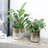 Metal Pot Planter