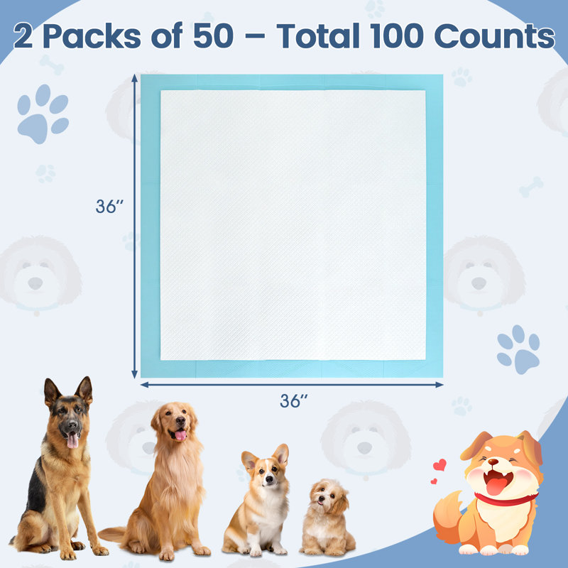 Coussins de dressage pour chien 36 po x 36 po (100 points)