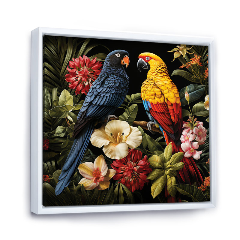 Jaune et bleu, perroquets tropicaux - art mural perroquet, Blanc, H 36 po x l 36 po
