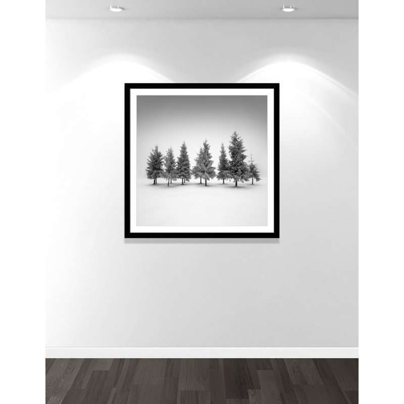 Impression d'épinette par Daniel, L 42,5 po x H 42,5 po, Imprimé mat, Noir satiné