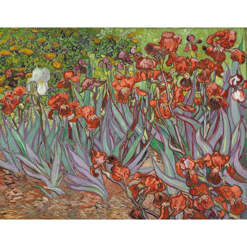 Décalcomanie murale amovible irises de van gogh, H 14 po x l 18 po, Rouge / Jaune
