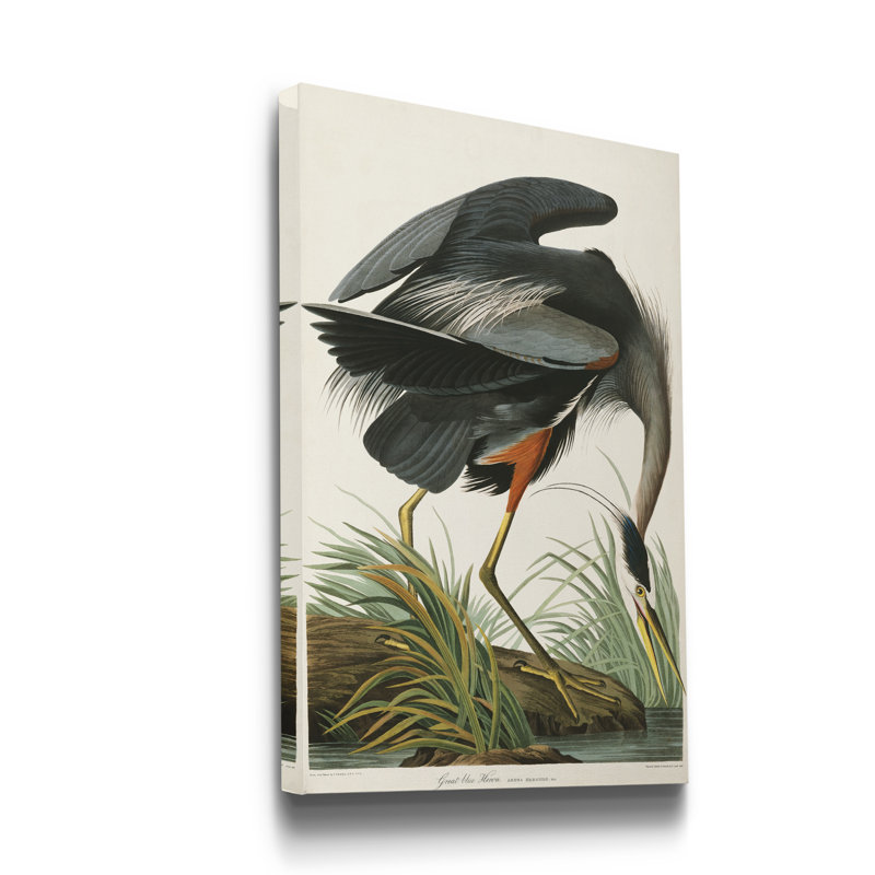 « Pl 211 Great Blue Heron », reproduction d’art sur toile tendue, H 48 po x l 32 po x P 1 po