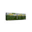 Nature Inspired "Summer Birchscape" Canvas Wall Art By -739708928-739708935-766646155