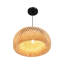 Luminaire suspendu 15 po