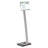 Info Sign Duo Floor Sign Stand For Letter-Size Inserts, 44-1/2" High                                                         