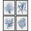 Ensemble de 4 reproductions de cadres photo 4 pièces-97770266-97770269