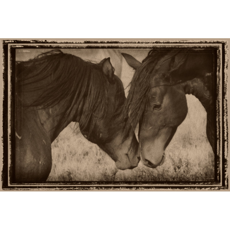 Chevaux muselant 24 x 36