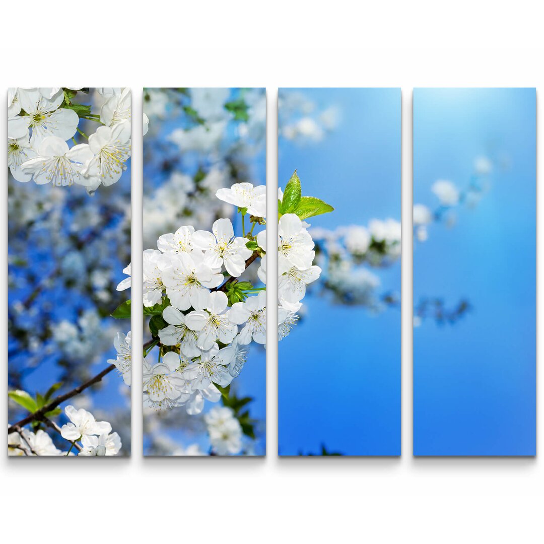 4-tlg. Leinwandbilder-Set Kirschblüten im Frühling - Fotografie