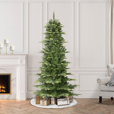 78' Pine Christmas Tree