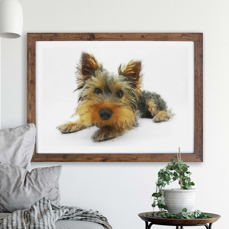 Yorkshire Terrier Dog - Single Picture Frame Print, Walnut, 45cm H x 63cm W x 2cm D