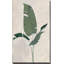 Palmier botanique II - Peinture-852273058-859631833