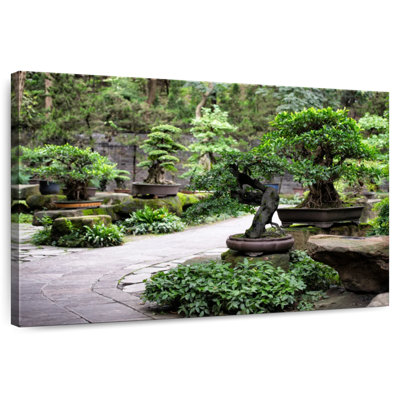 Harnek Bonsai Trees