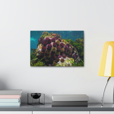 No Frame Print on Canvas