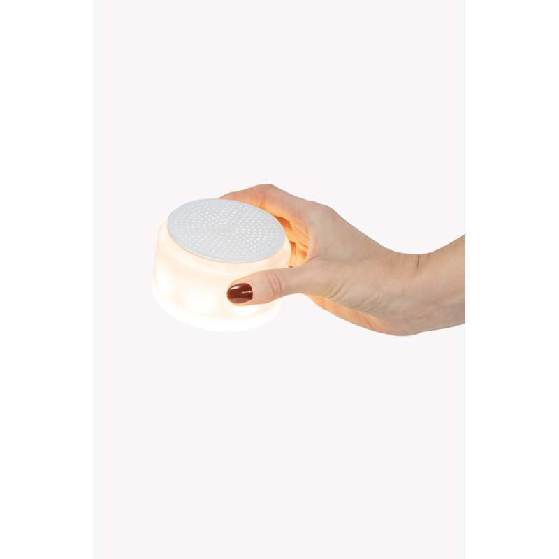 Poldina Classic, Matte Bronze