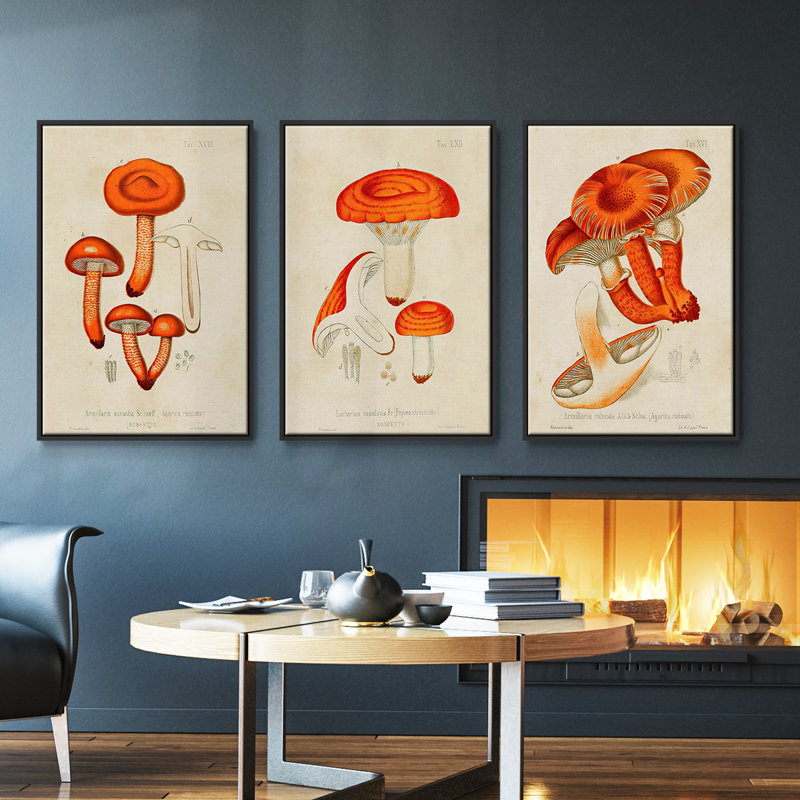 Mushroom Variétés IV, ensemble de 3 toiles encadrées, H 36 po x l 72 po, Noir