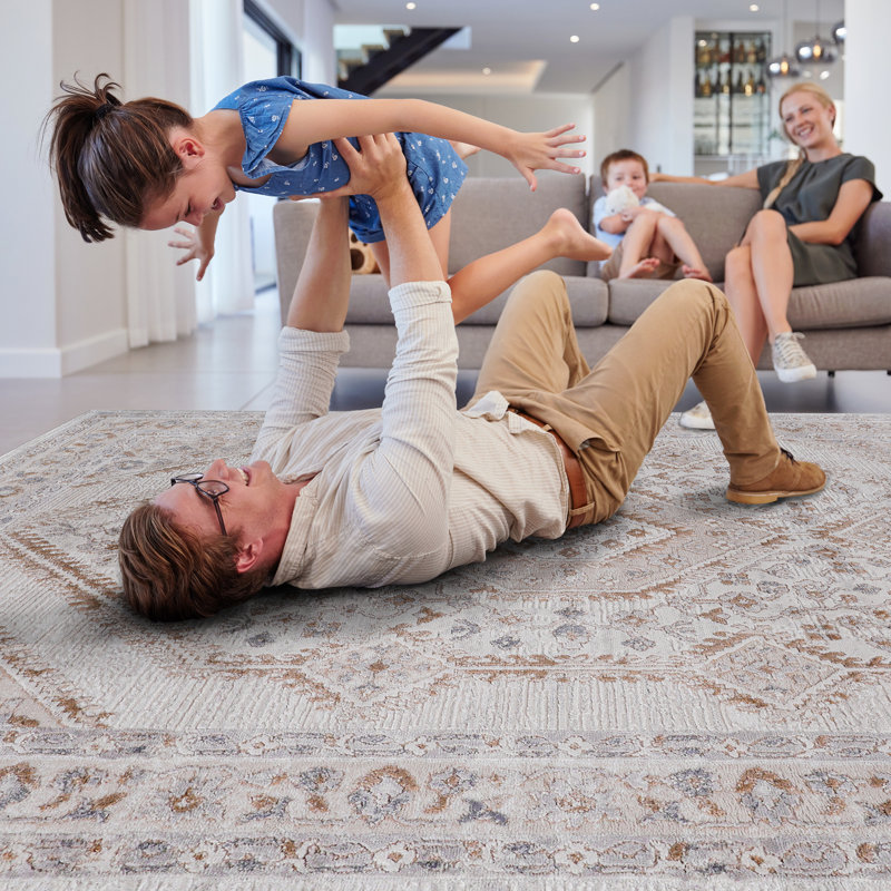 Bordered Non-Shedding Living Room Bedroom Dining Home Office Stylish And Stain Resistant Area Rug, Rectangle 2' x 3'