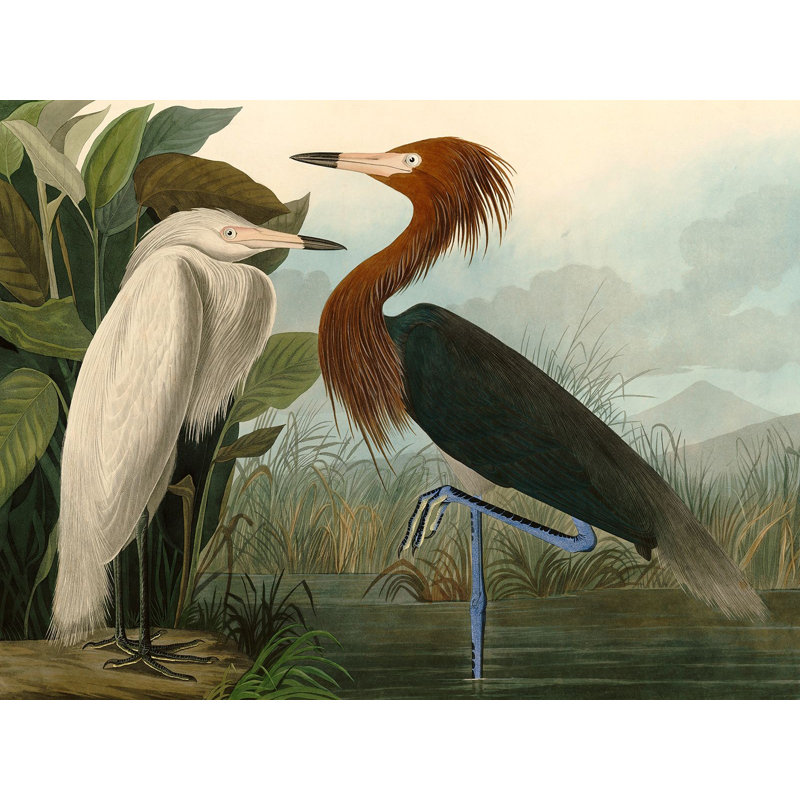 Purple Heron by John Audubon - 1 Piece Painting on Canvas, 70cm H  x 100cm W  x 4cm D