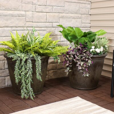 Alcott Hill® Blough Pot Planter & Reviews 